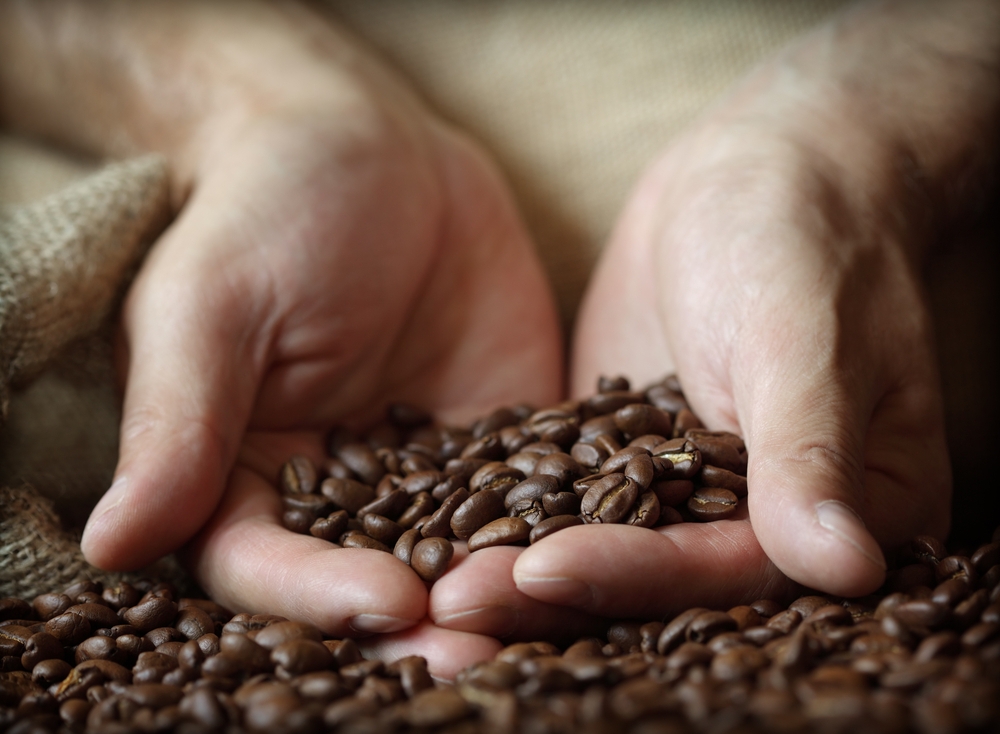 DIVISIONE CAFFE' in Grani , Macinato , Capsule e Cialde - ANIMAVIVA CORPORATION